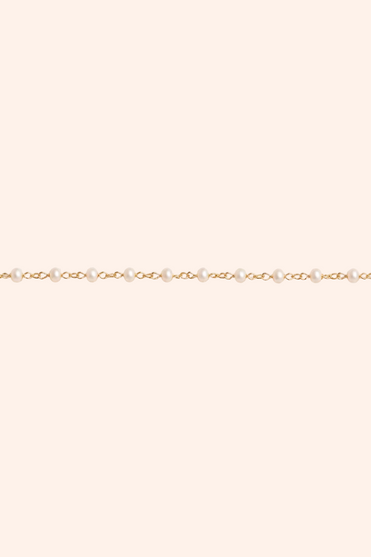 The Anyia Chain