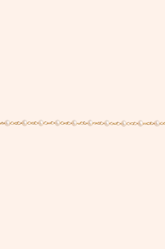 The Anyia Chain