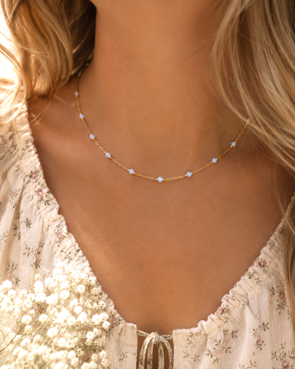 The Ocean Chain