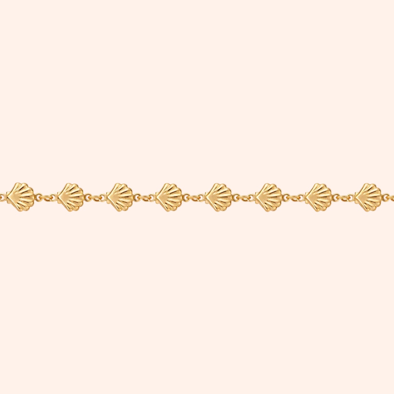 The Scallop Chain