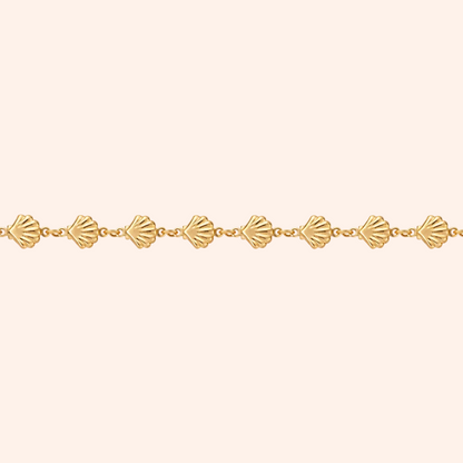 The Scallop Chain