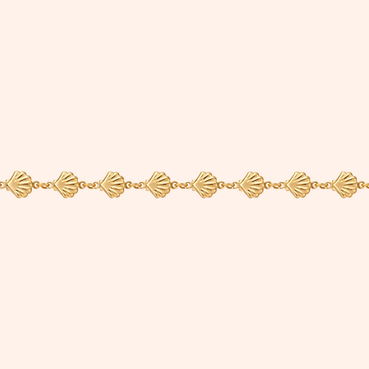 The Scallop Chain