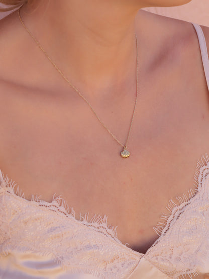 The Shelly Necklace