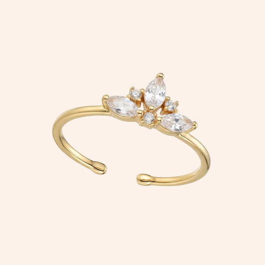 The Palmer Ring