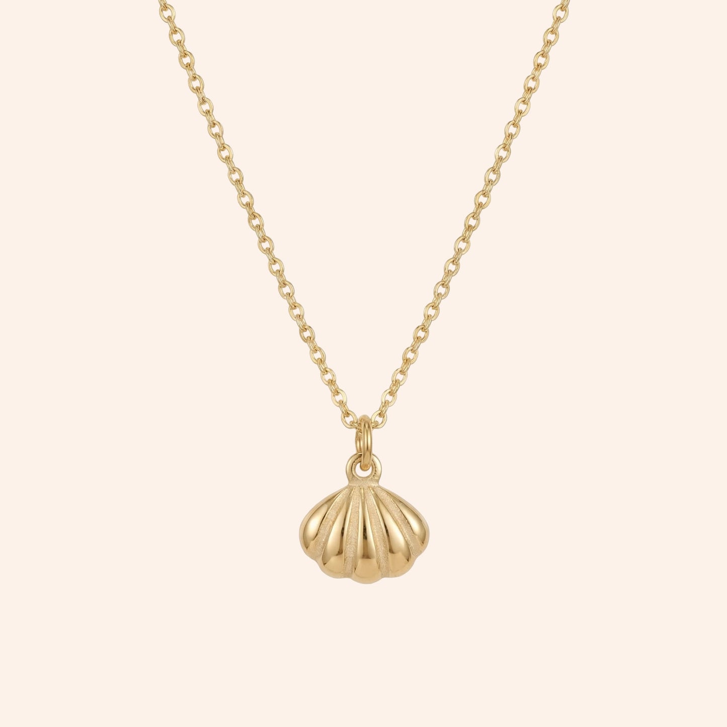 The Shelly Necklace