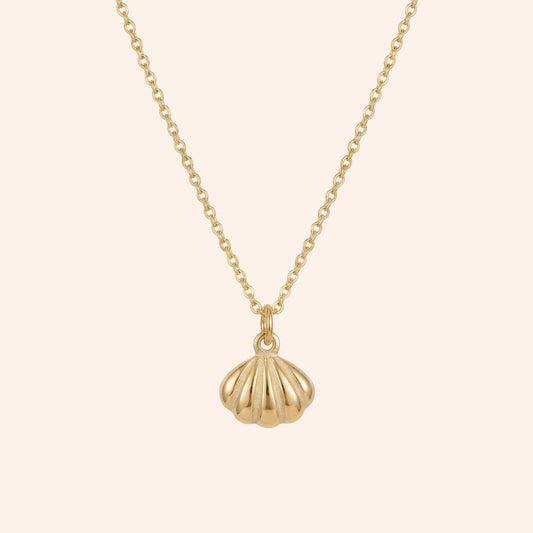 The Shelly Necklace