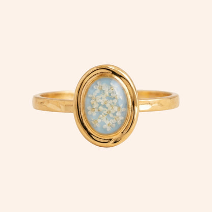 The Blue Calanthe Ring